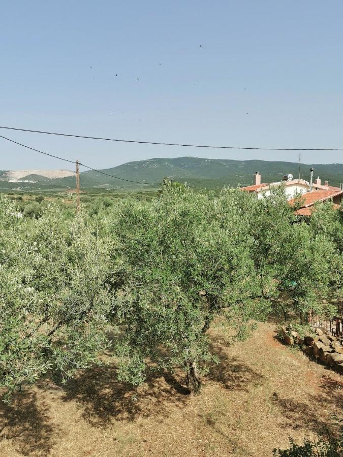 Ferienhaus Elli Alexandroupoli