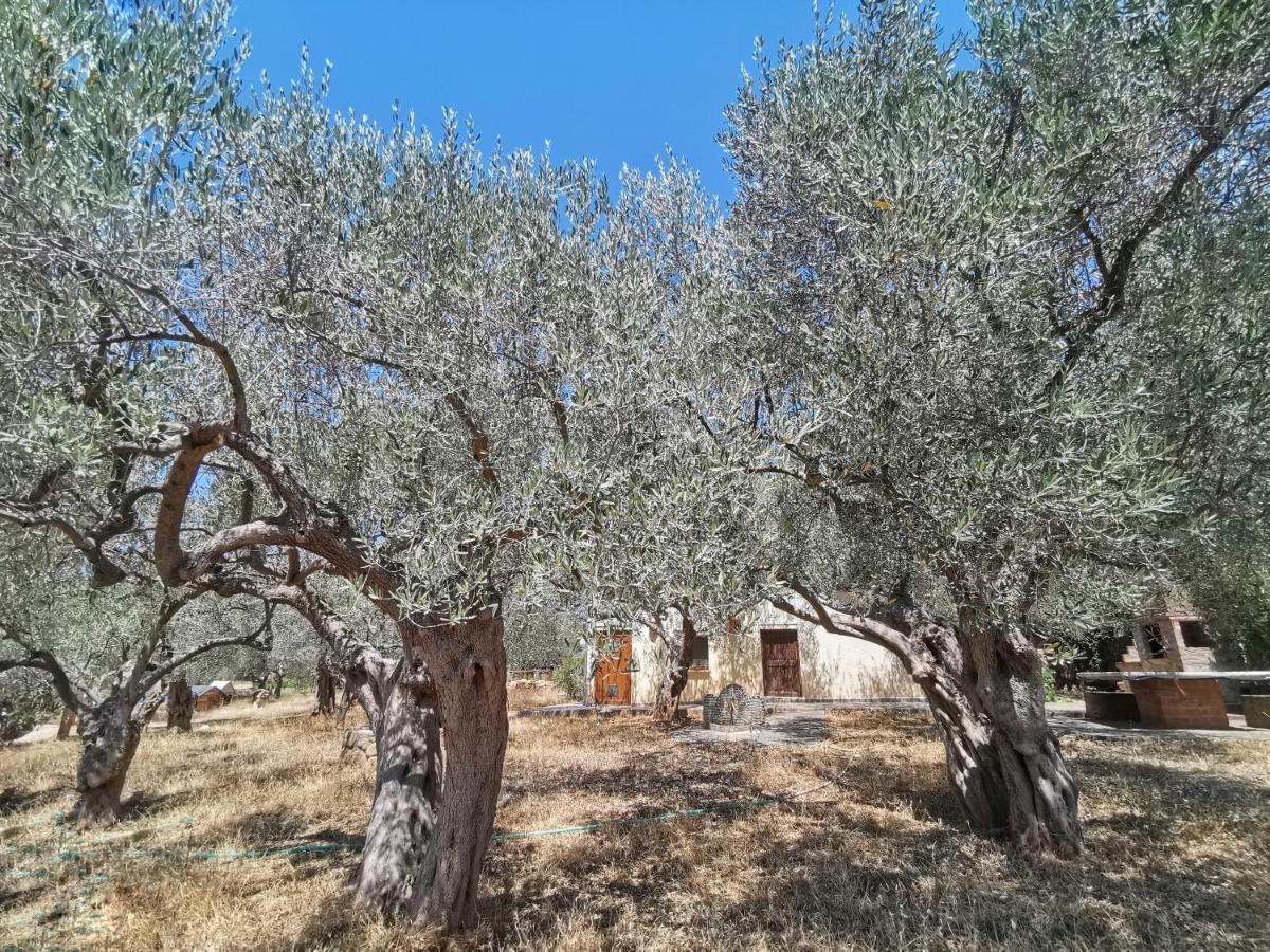Elli Alexandroupoli